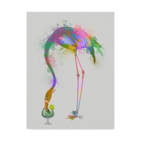 Fab Funky 'Rainbow Splash Flamingo 3' Canvas Art,24x32